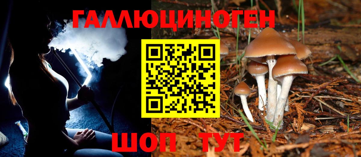 Псилоцибиновые грибы Magic Shrooms  Вход с VPN  даркнет сайт  Кострома 